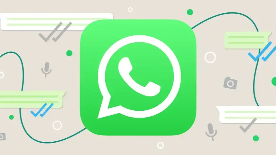 WhatsApp Networking