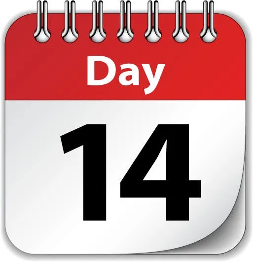 Fortnite Premium Plan